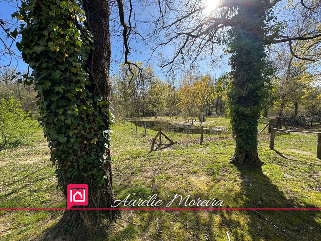 MUR-DE-SOLOGNE Chalet bois  Mur De Sologne 1 pièce(s) 35 m2 8