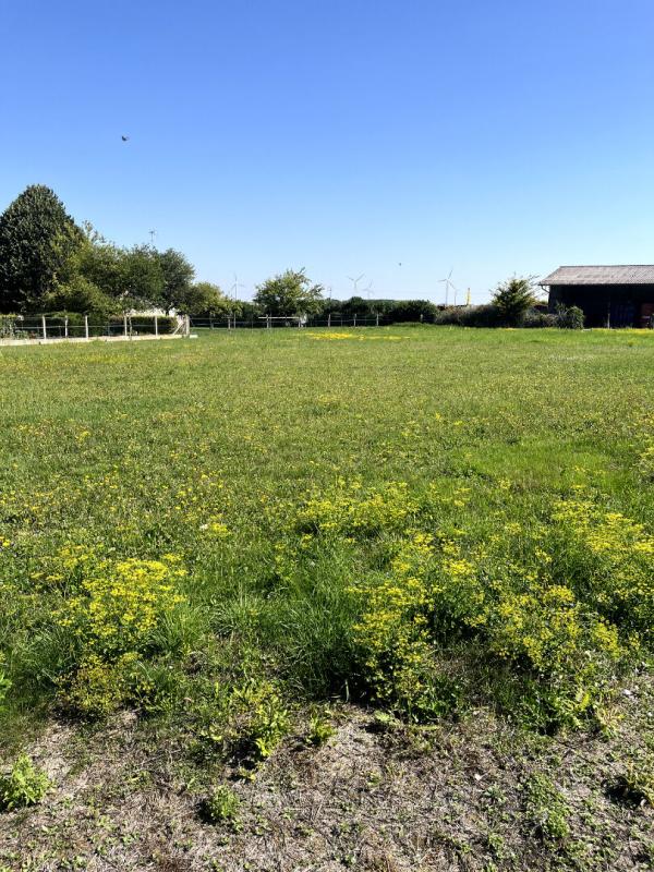 LES GRANDES-CHAPELLES Terrain Les Grandes Chapelles 1720 m2 7