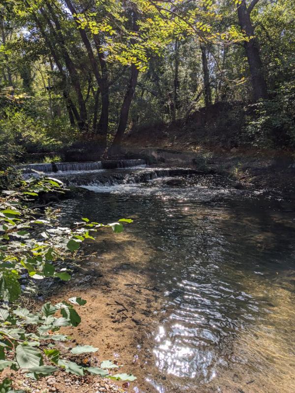 VINS-SUR-CARAMY PROPRIETE  VINS SUR CARAMY 17