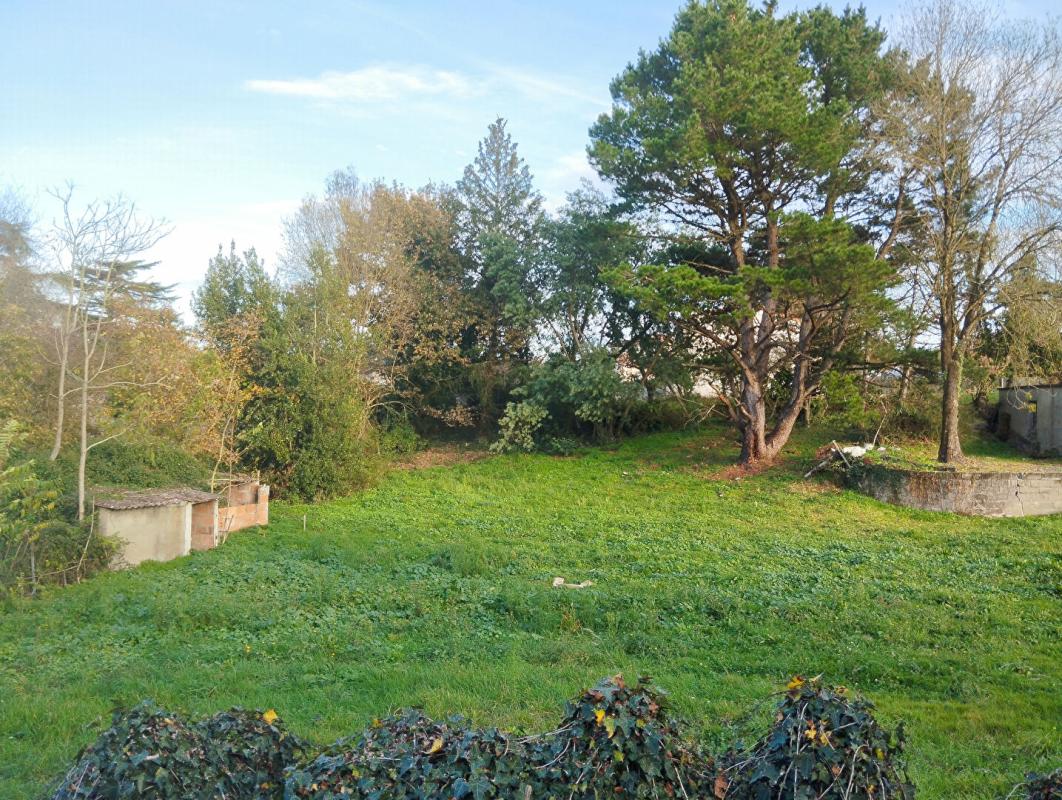 CHAMPTOCEAUX Terrain à bâtir, 1 200m², Champtoceaux, Orée d'Anjou (49270) 1