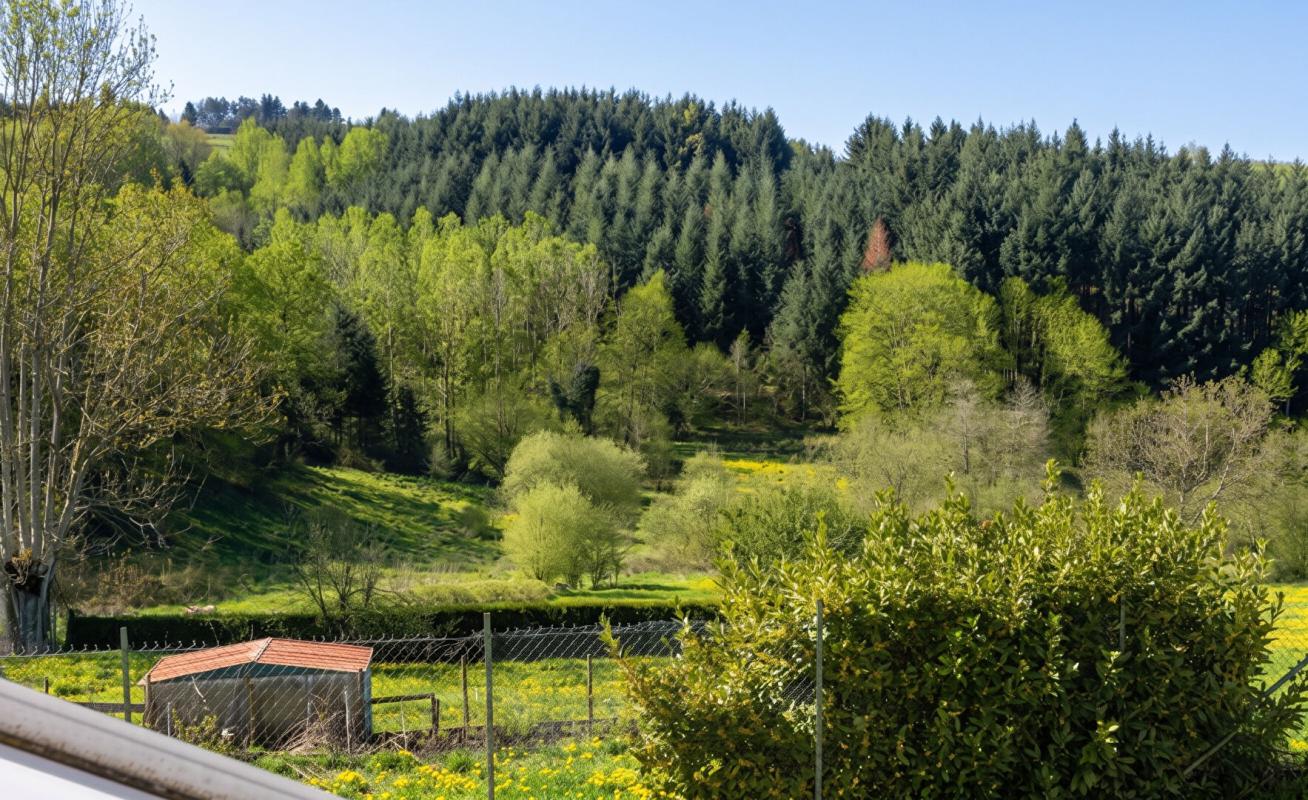VIOLAY Charme et Potentiel au Coeur de la Nature à Violay 1