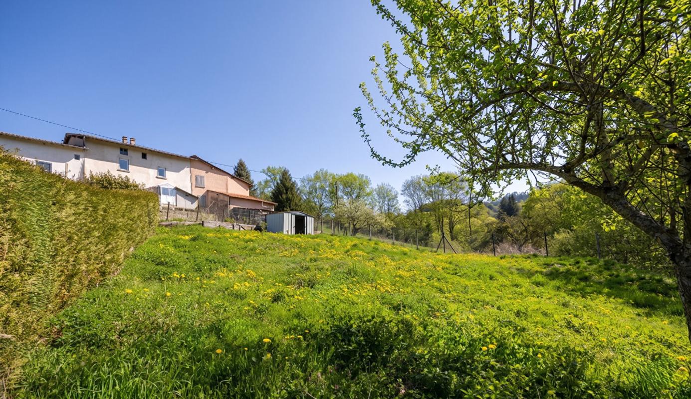 VIOLAY Charme et Potentiel au Coeur de la Nature à Violay 4