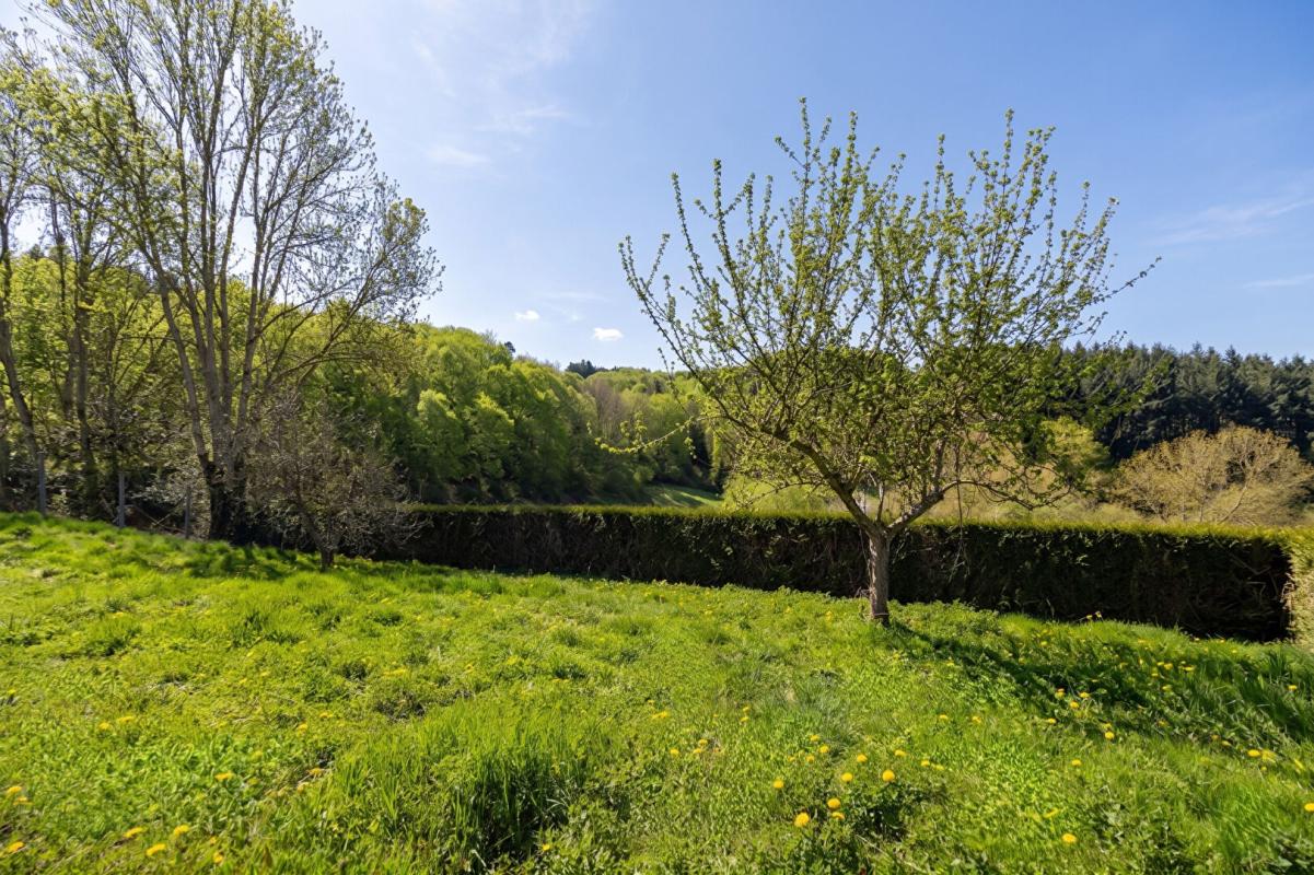 VIOLAY Charme et Potentiel au Coeur de la Nature à Violay 5