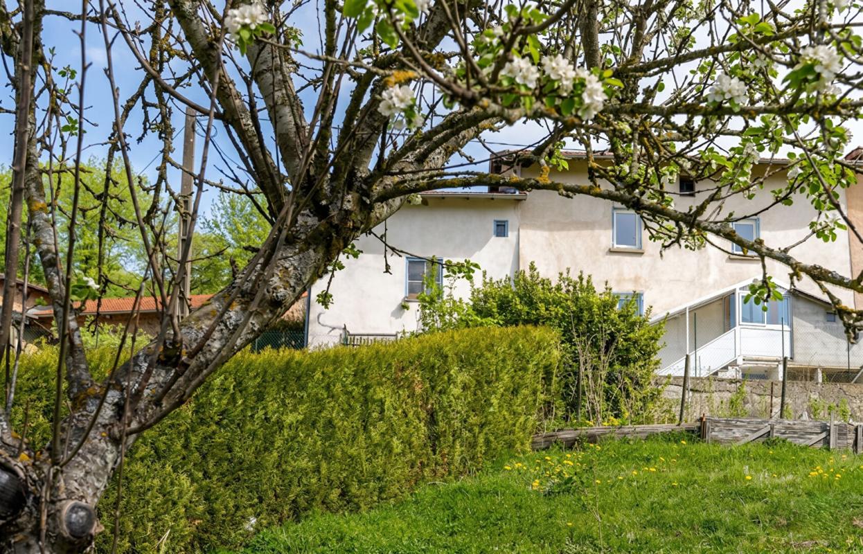 VIOLAY Charme et Potentiel au Coeur de la Nature à Violay 6