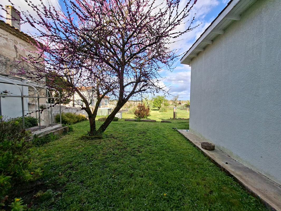 SAINT-ESTEPHE jolie maison pierre vue sur l estuaire de la Gironde SAINT-Estèphe 10