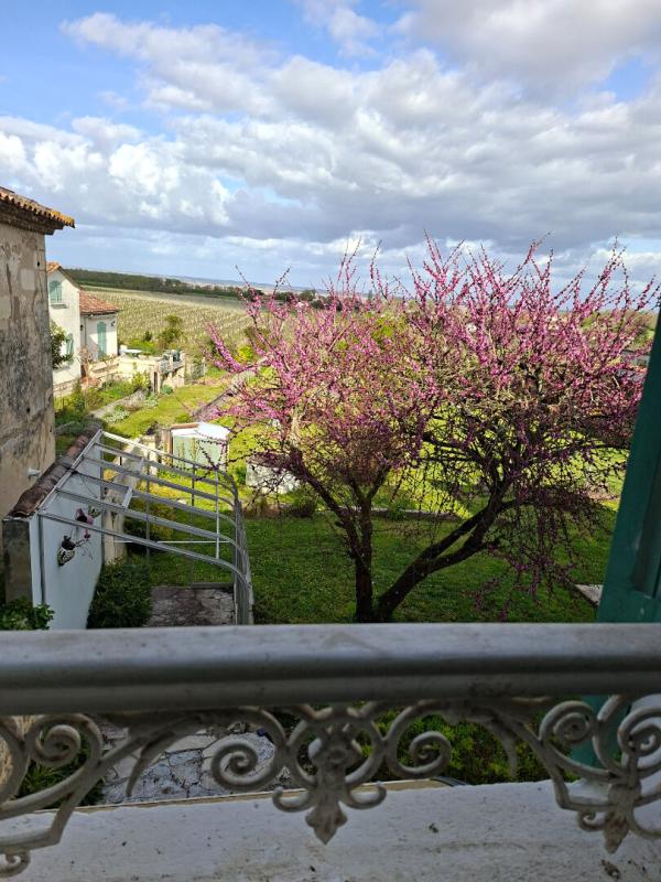 SAINT-ESTEPHE jolie maison pierre vue sur l estuaire de la Gironde SAINT-Estèphe 6