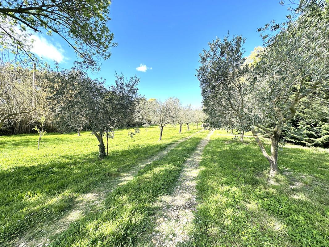 GRANS Domaine d'exception à Grans 4