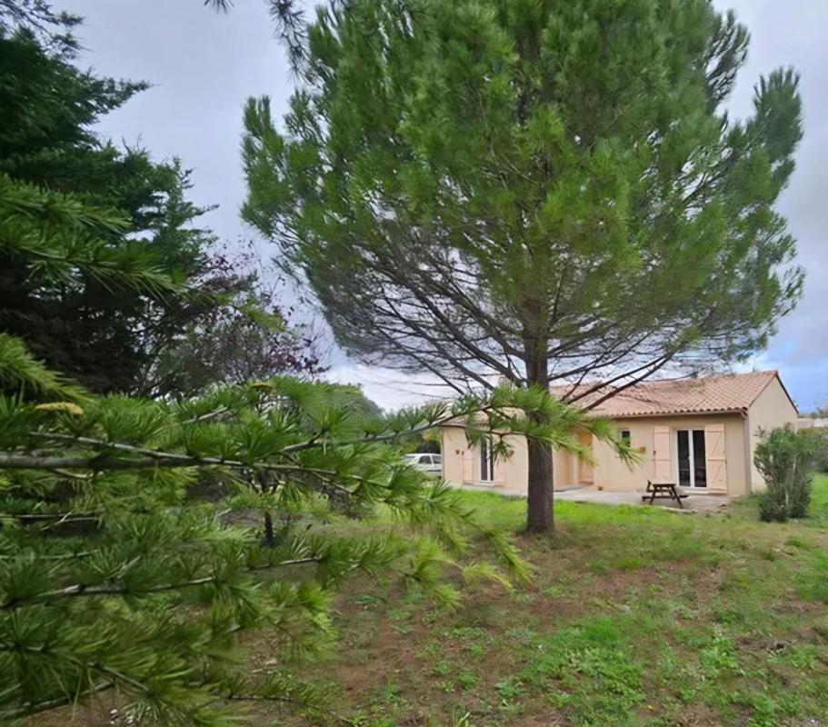 TOUROUZELLE Villa plain pied 4 pièces sur 850 m² de terrain 1