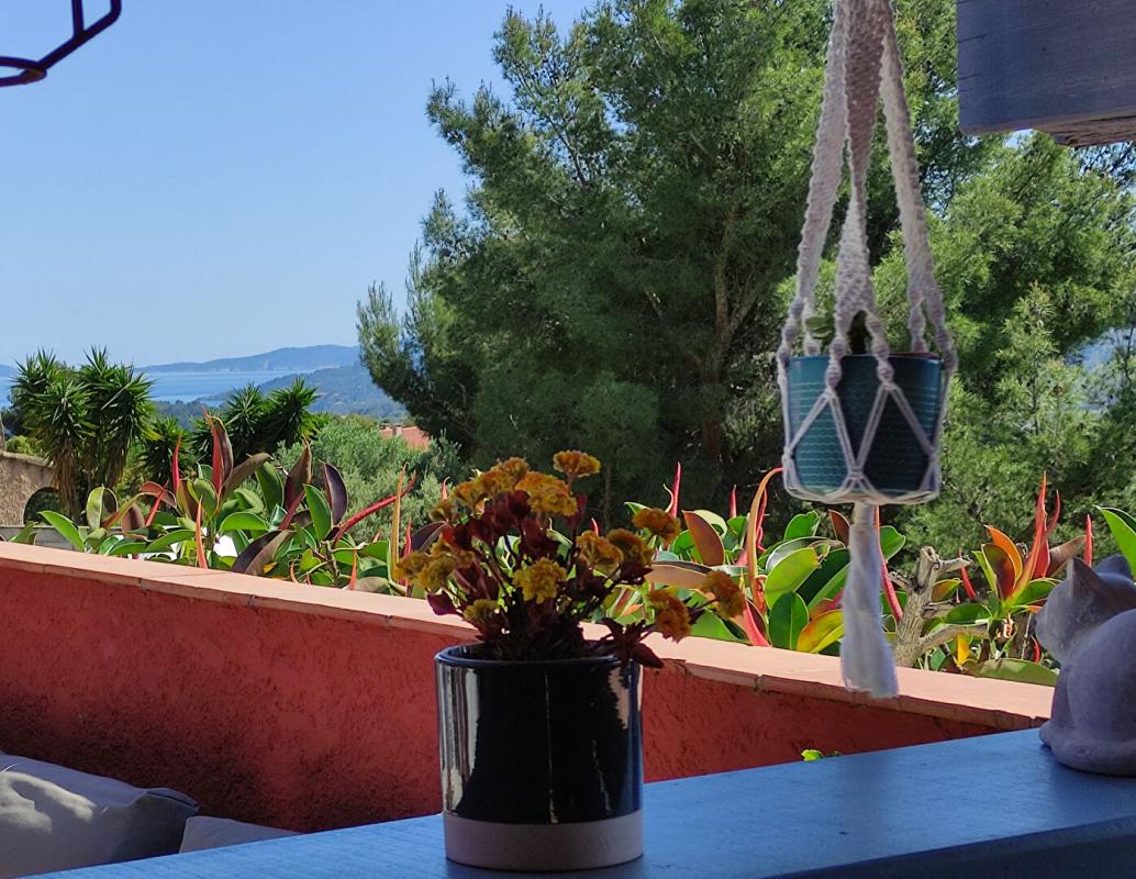 BORMES-LES-MIMOSAS COUP DE COEUR BORMES Superbe Propriété 360 m2 /2155m² piscine garages parkings 15