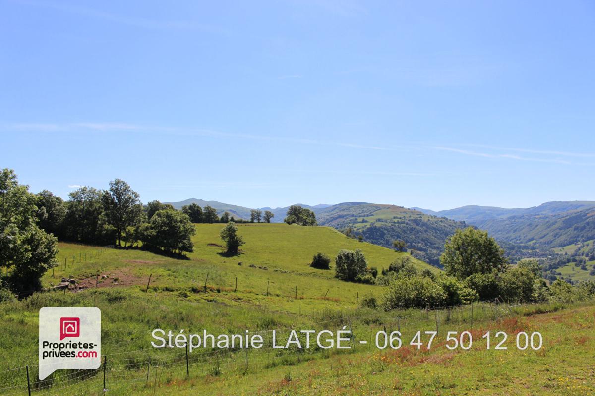SAINT-MARTIN-VALMEROUX Propriété RARE et INSOLITE - Cantal (15) Vue exceptionnelle !! 18