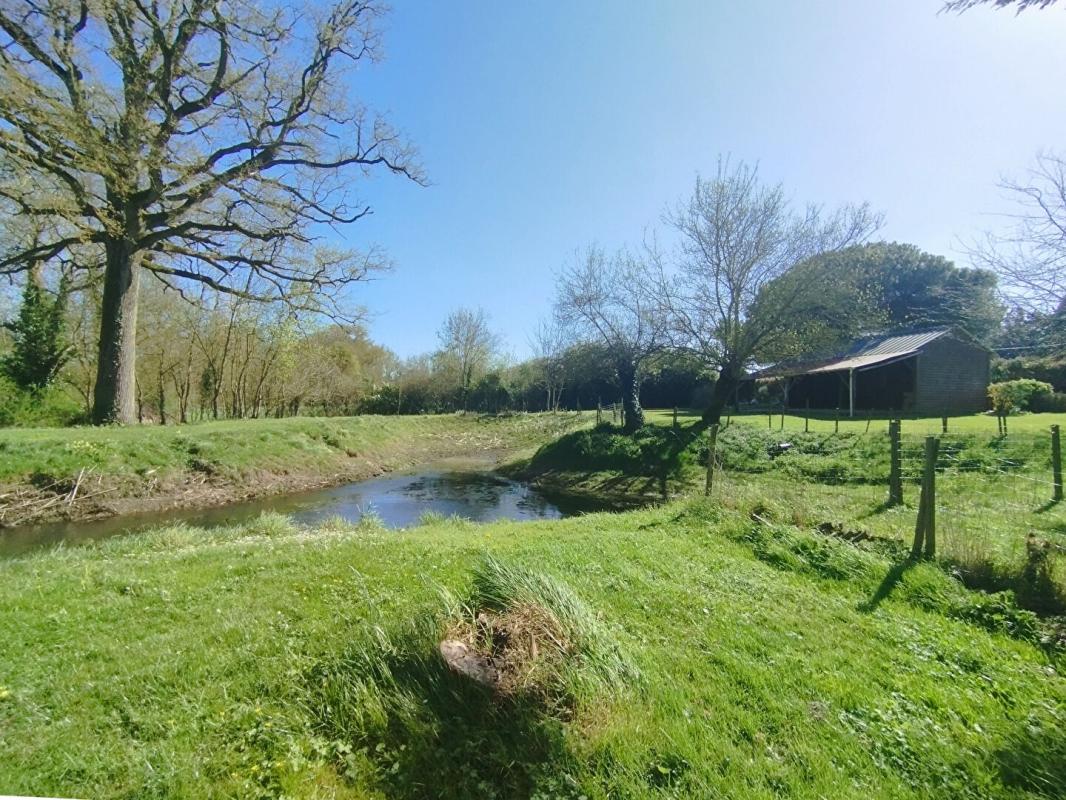 SAINT-MARS-LA-JAILLE Longère (250m²), dépendances et  hangars (1 500m²), Maumusson ( 44540) 10