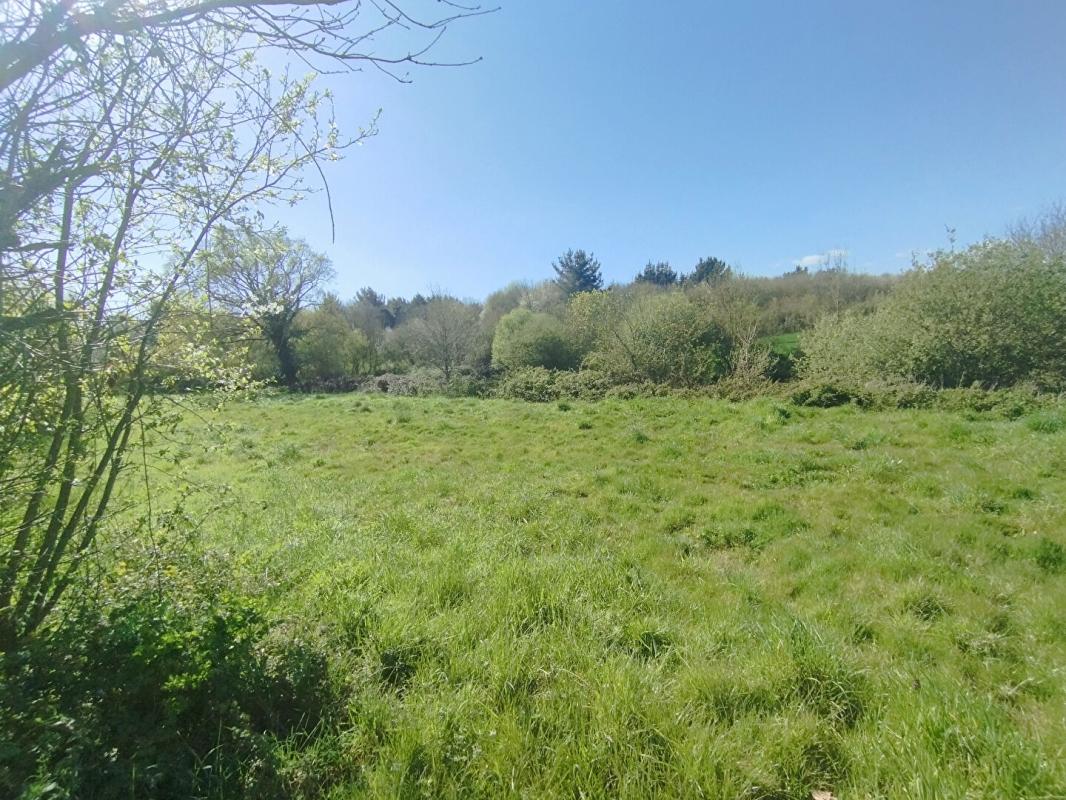 SAINT-MARS-LA-JAILLE Longère (250m²), dépendances et  hangars (1 500m²), Maumusson ( 44540) 11