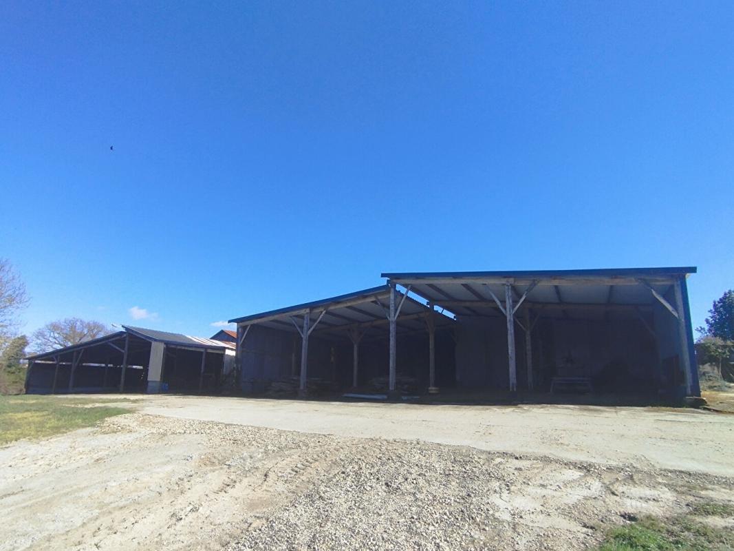 SAINT-MARS-LA-JAILLE Longère (250m²), dépendances et  hangars (1 500m²), Maumusson ( 44540) 8