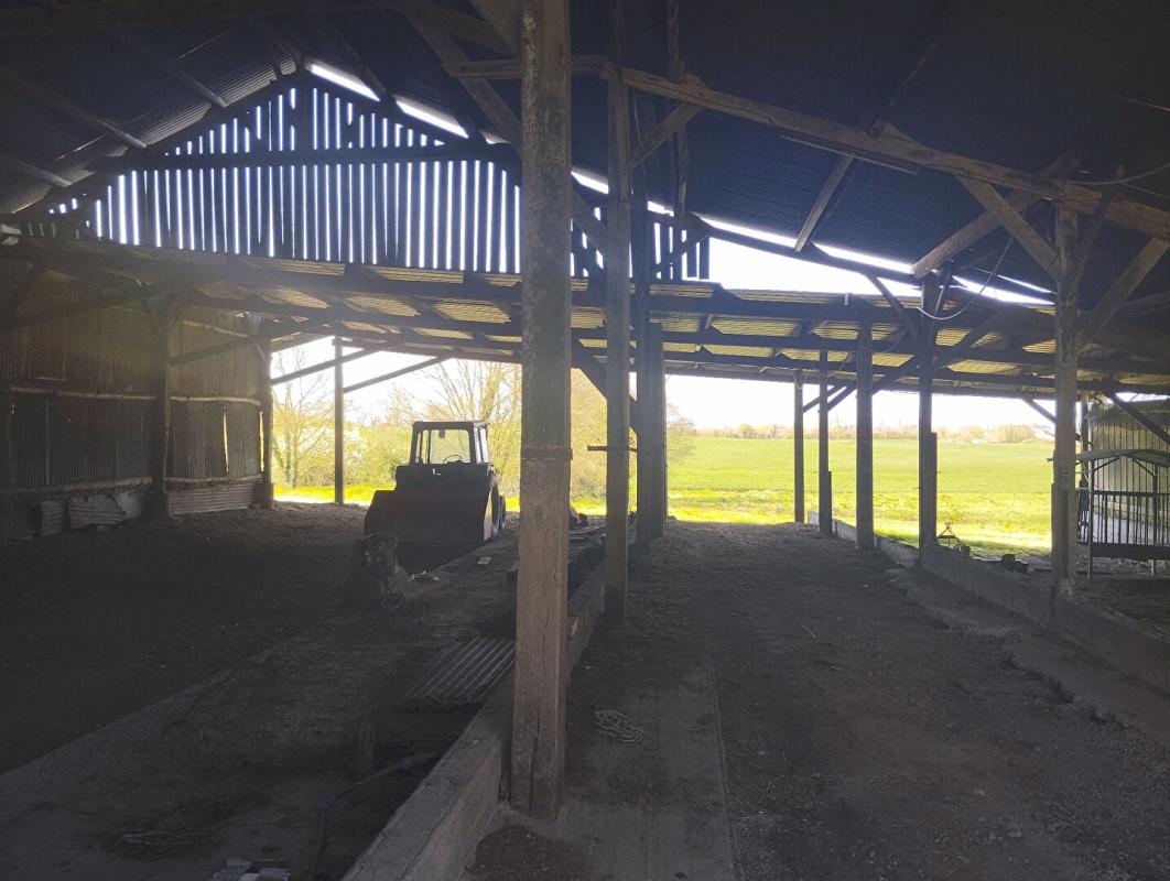 SAINT-MARS-LA-JAILLE Longère (250m²), dépendances et  hangars (1 500m²), Maumusson ( 44540) 9