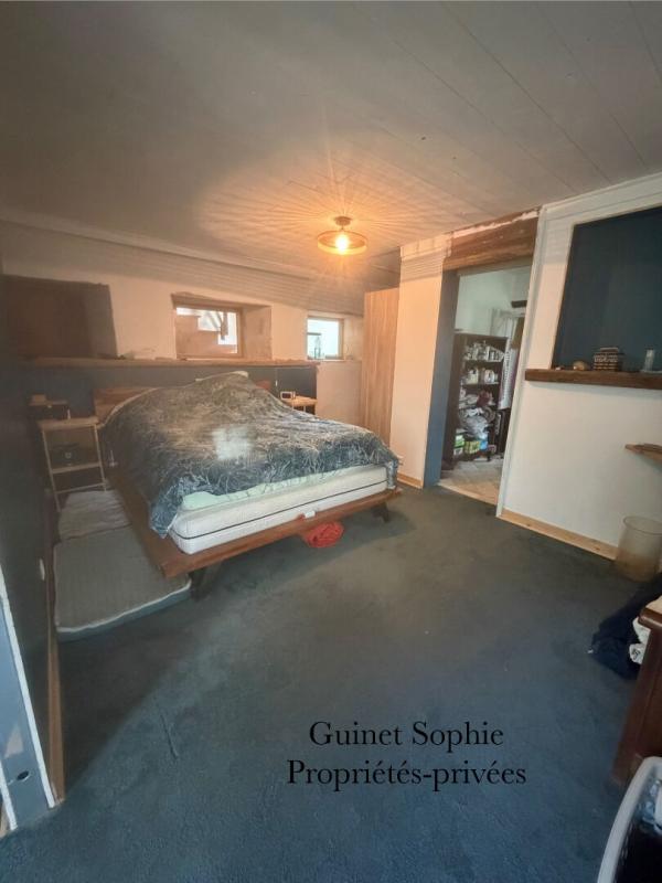 SAINTE-HERMINE Maison Sainte Hermine 14 pièce(s) 332.6 m2 11