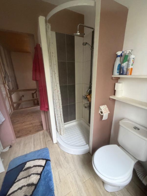 SAINTE-HERMINE Maison Sainte Hermine 14 pièce(s) 332.6 m2 5