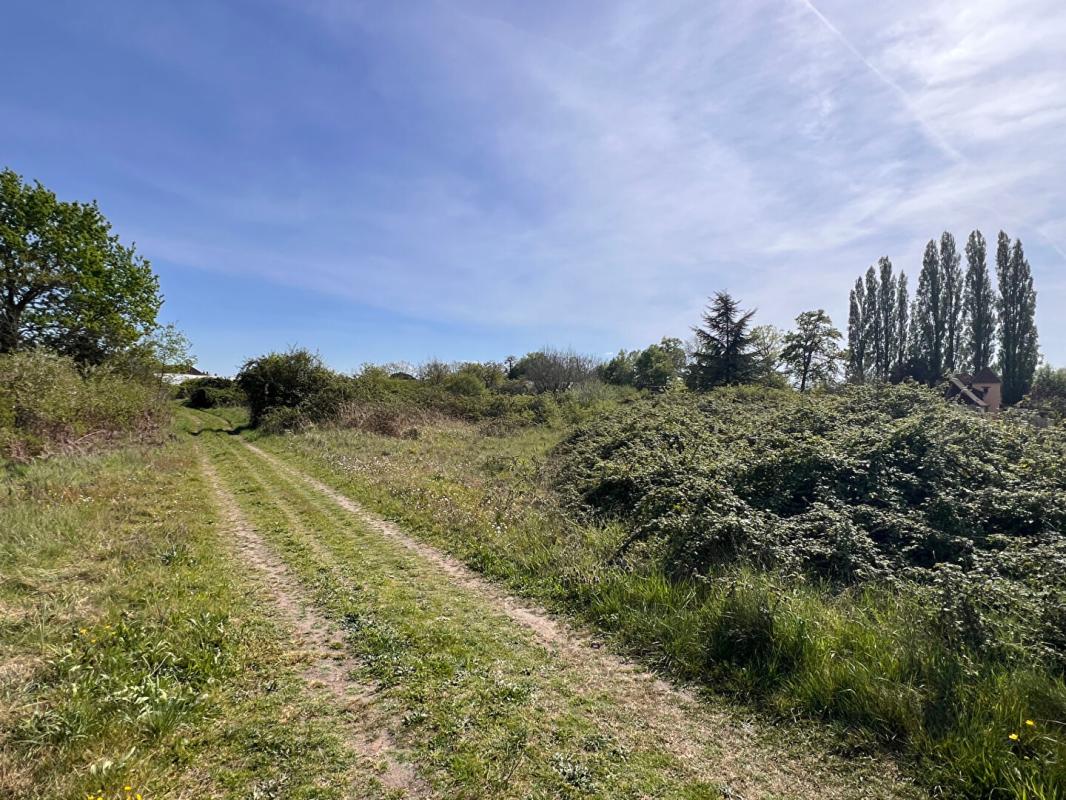 BEAUFAY Terrain à Allotir - Beaufay - 7266 m² 3