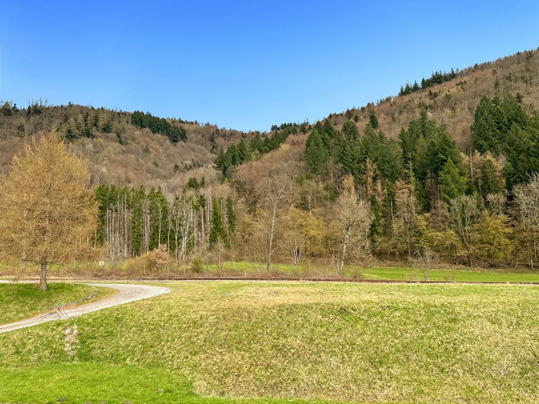 KRUTH Appartement au calme, avec garage: KRUTH 68820, 5 pièces, 105 m2 16