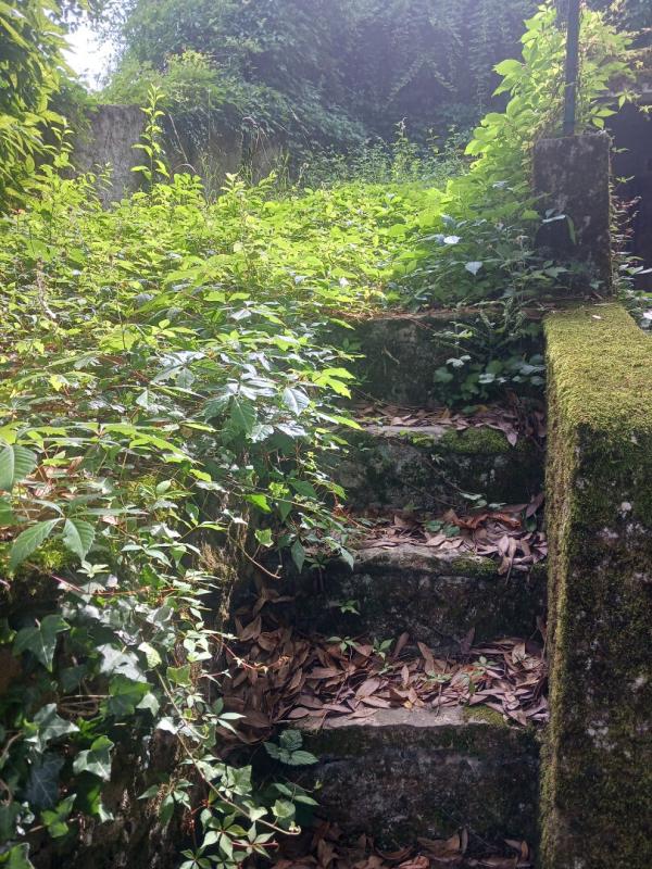 PERRIGNY Maison en pierre composé de 2 logements avec dépendances 8