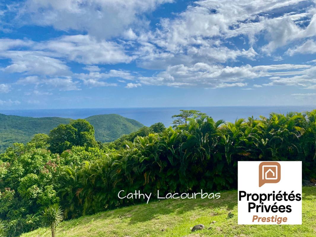 POINTE-NOIRE TERRAIN D'EXCEPTION AVEC VUE PANORAMIQUE MER & MONTAGNE - Pointe Noire 1500 m2 1
