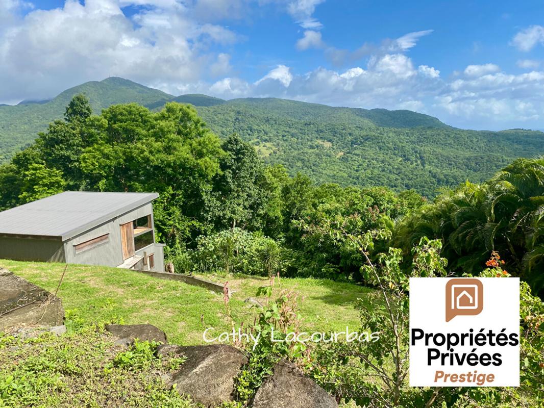 POINTE-NOIRE TERRAIN D'EXCEPTION AVEC VUE PANORAMIQUE MER & MONTAGNE - Pointe Noire 1500 m2 4