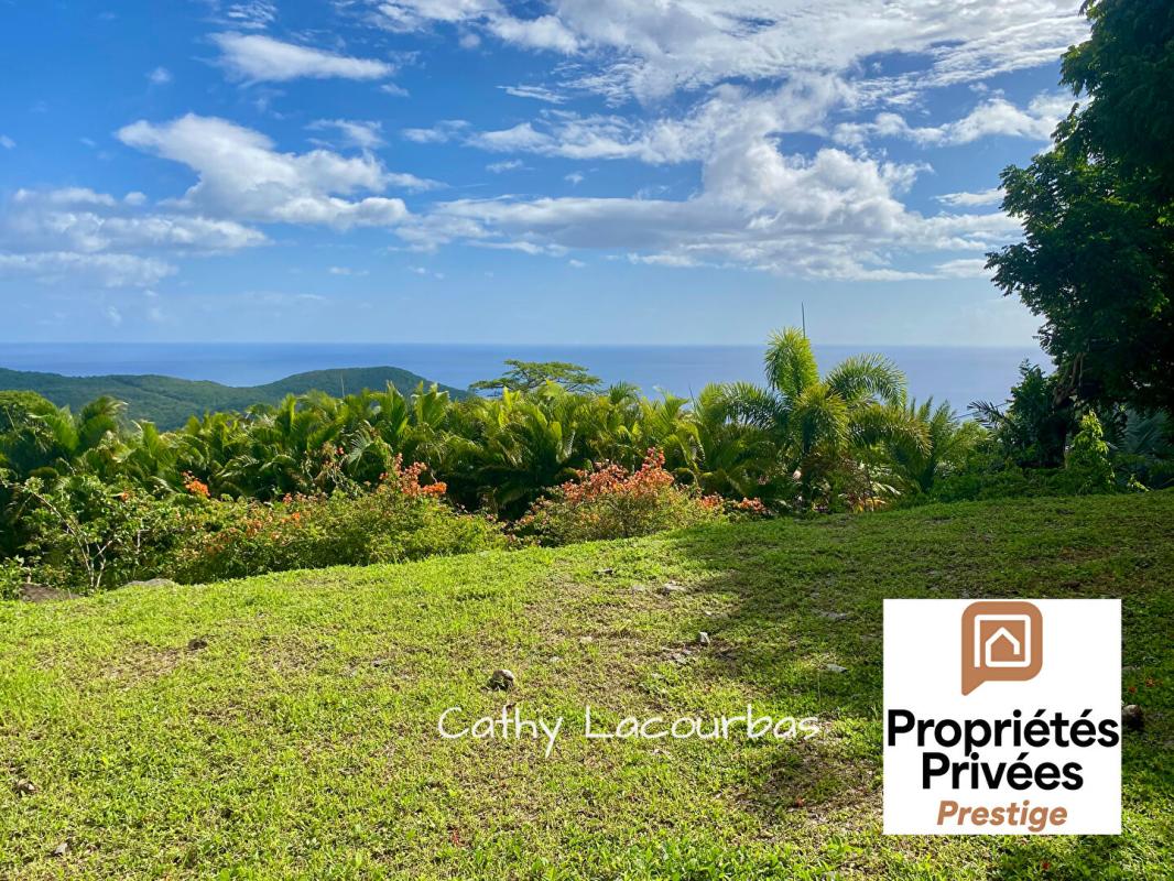 POINTE-NOIRE TERRAIN D'EXCEPTION AVEC VUE PANORAMIQUE MER & MONTAGNE - Pointe Noire 1500 m2 5