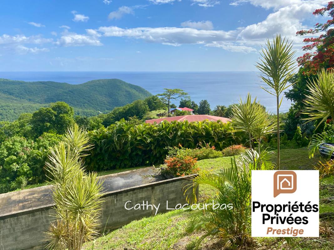 POINTE-NOIRE TERRAIN D'EXCEPTION AVEC VUE PANORAMIQUE MER & MONTAGNE - Pointe Noire 1500 m2 6