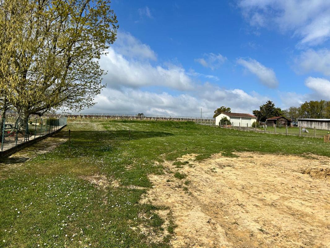 PUGNAC 33710 Pugnac - Terrain viabilisé avec fibre 1032 m2 - Surface Plancher 206 m2 - 2 ligne - Calme - Expo Sud- Accès sur Départementale 3