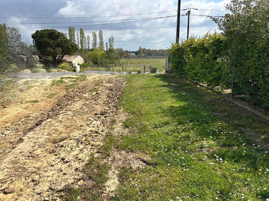PUGNAC 33710 Pugnac - Terrain viabilisé avec fibre 1032 m2 - Surface Plancher 206 m2 - 2 ligne - Calme - Expo Sud- Accès sur Départementale 4