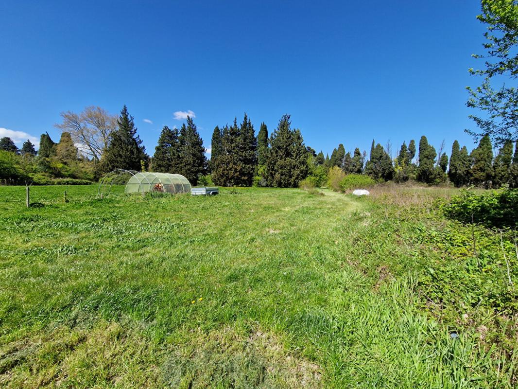 CABANNES Mas rénové en campagne 200m² habitables avec jardin, piscine et garage 16