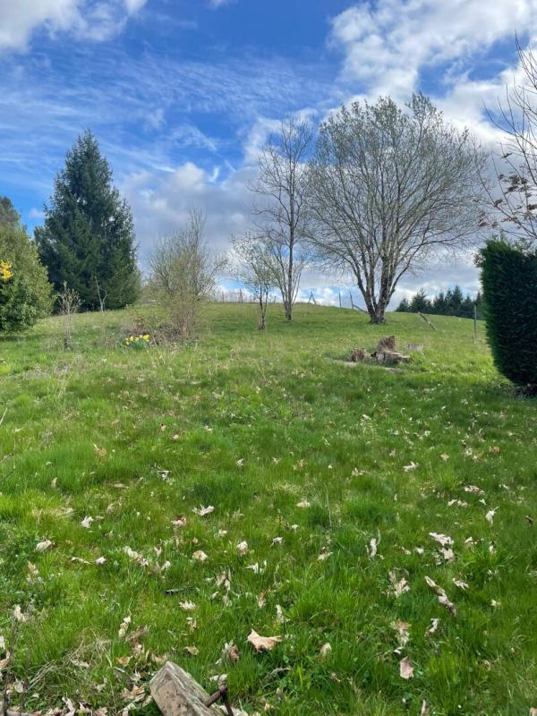 SAINT-BONNET-ELVERT Maison Saint Bonnet Elvert 11 pièce(s) 384 m2 16