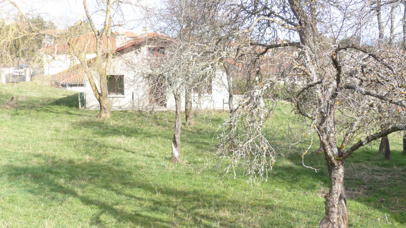 CUSSAC-SUR-LOIRE Maison Cussac Sur Loire 4 pièce(s) 88m2 1