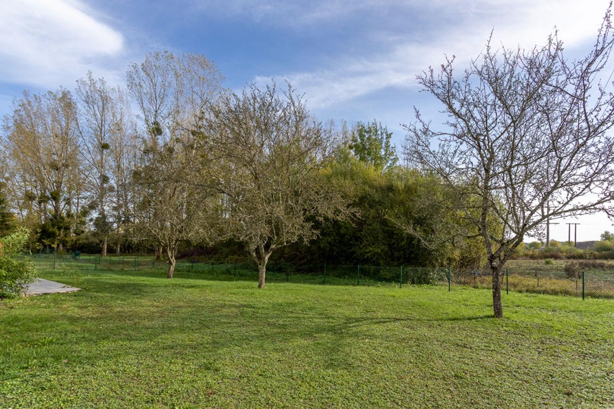 ROMORANTIN-LANTHENAY Maison Romorantin 5 pièces 88 m2 9