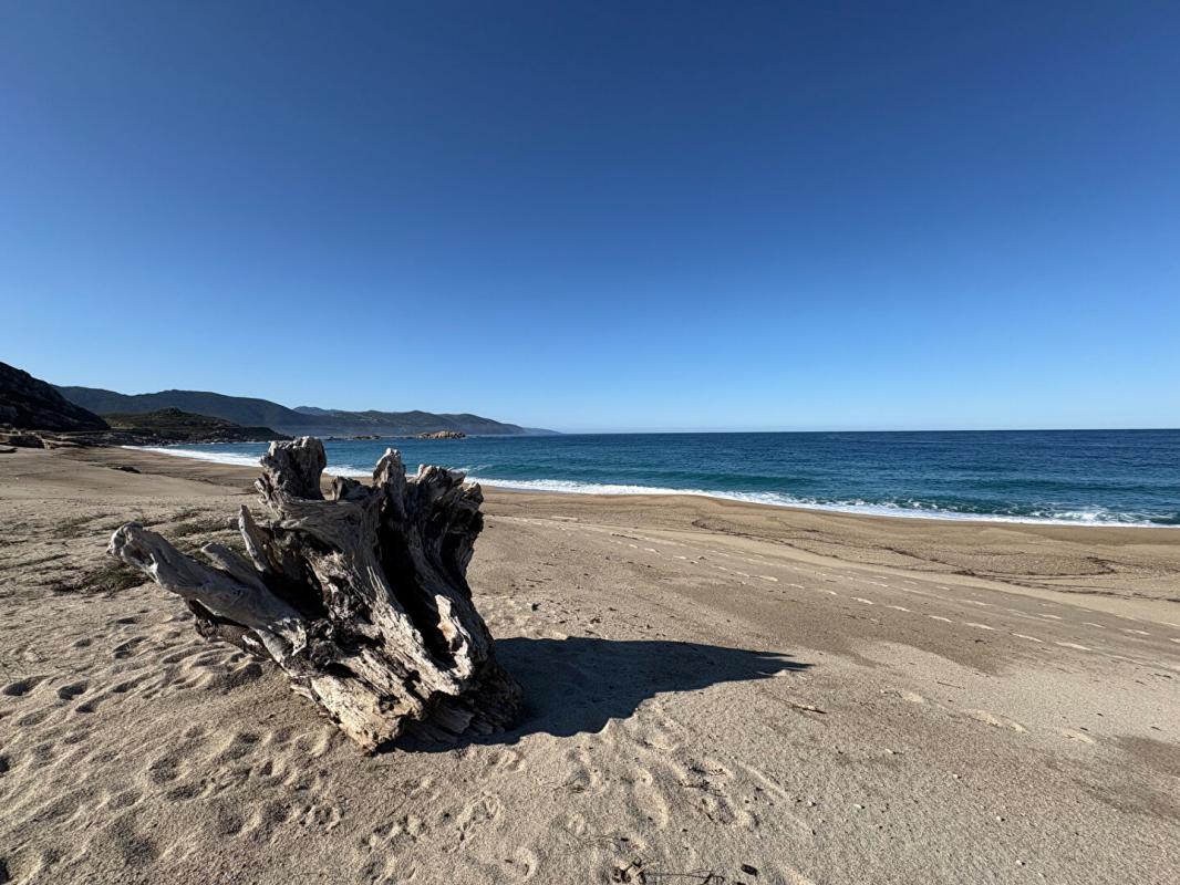 CASAGLIONE MAISON SUR LA PLAGE DU LIAMONE ! 1