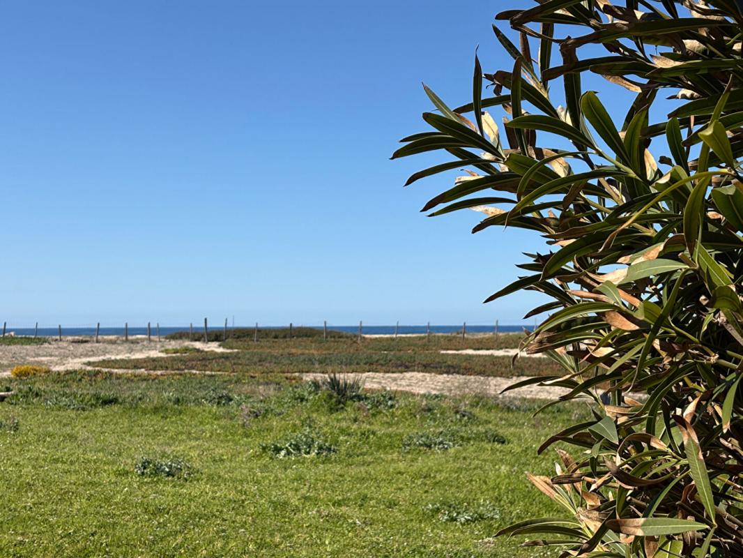 CASAGLIONE MAISON SUR LA PLAGE DU LIAMONE ! 8