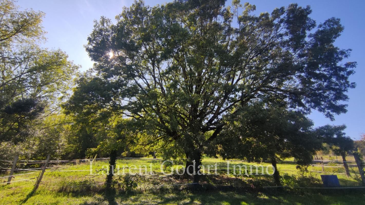 CASTELJALOUX Maison de 230m² avec dépendance sur 5000m² 10