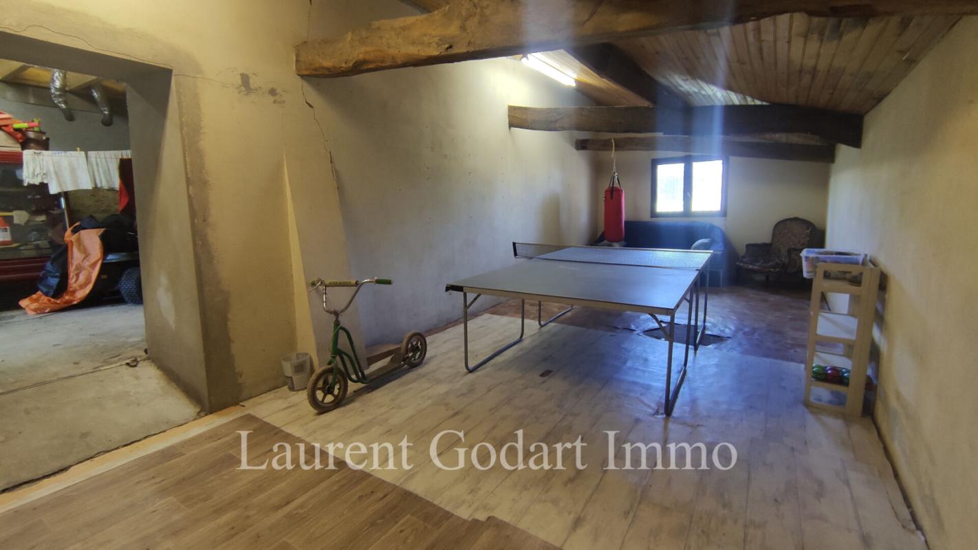 CASTELJALOUX Maison de 230m² avec dépendance sur 5000m² 8