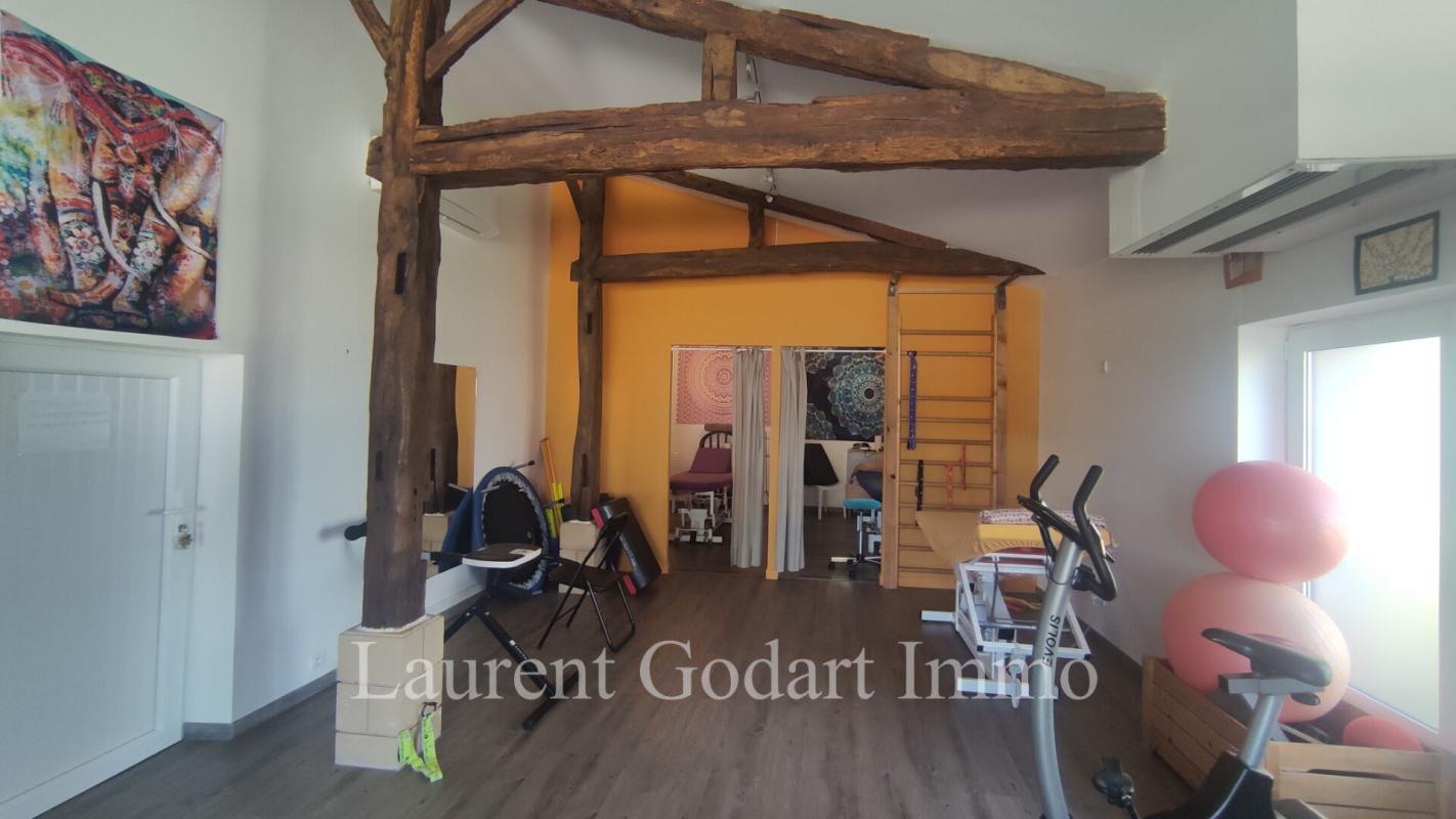 CASTELJALOUX Maison de 230m² avec dépendance sur 5000m² 9