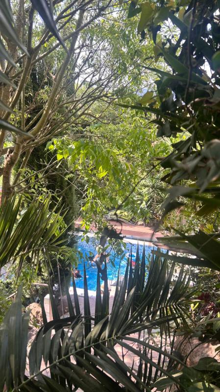 AURIBEAU-SUR-SIAGNE Maison Auribeau Sur Siagne 6 pièce(s) 180 m2 3