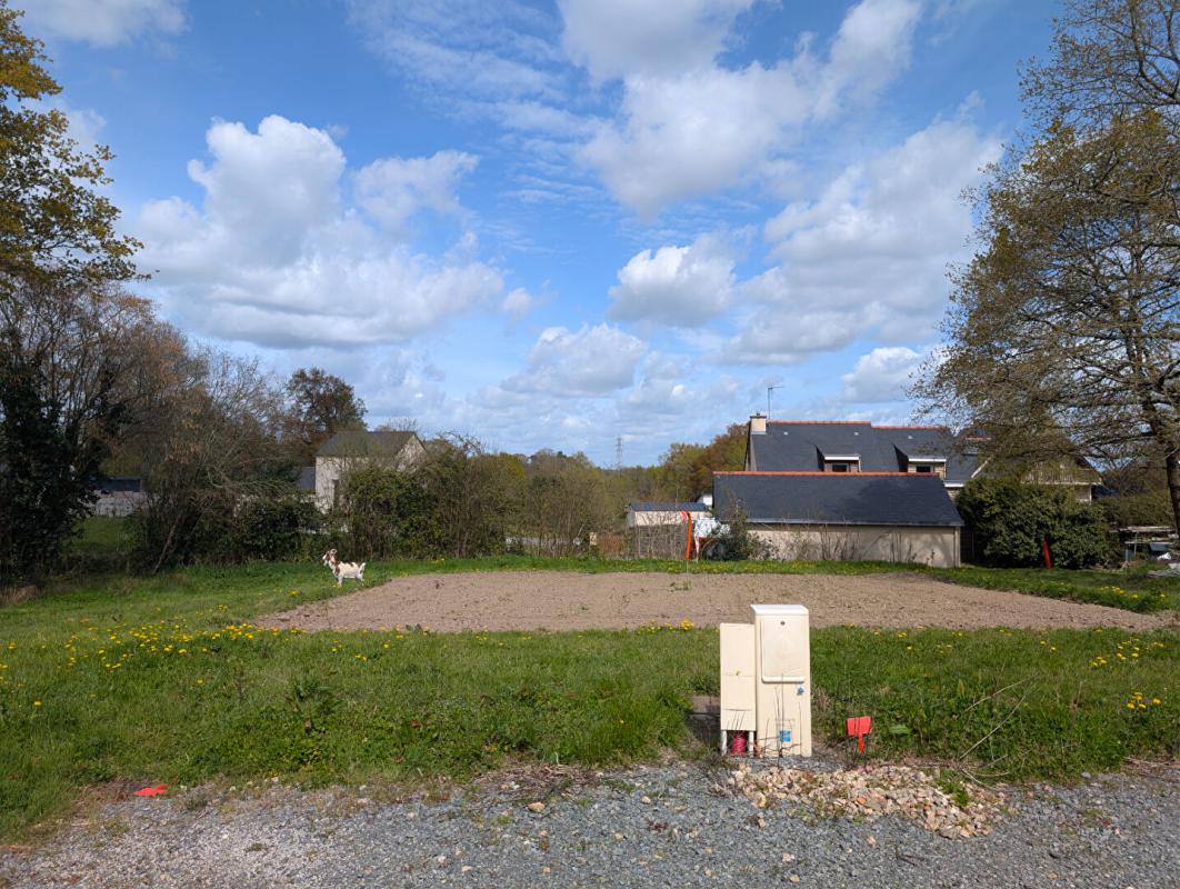 TREILLIERES Terrain libre constructeur 1