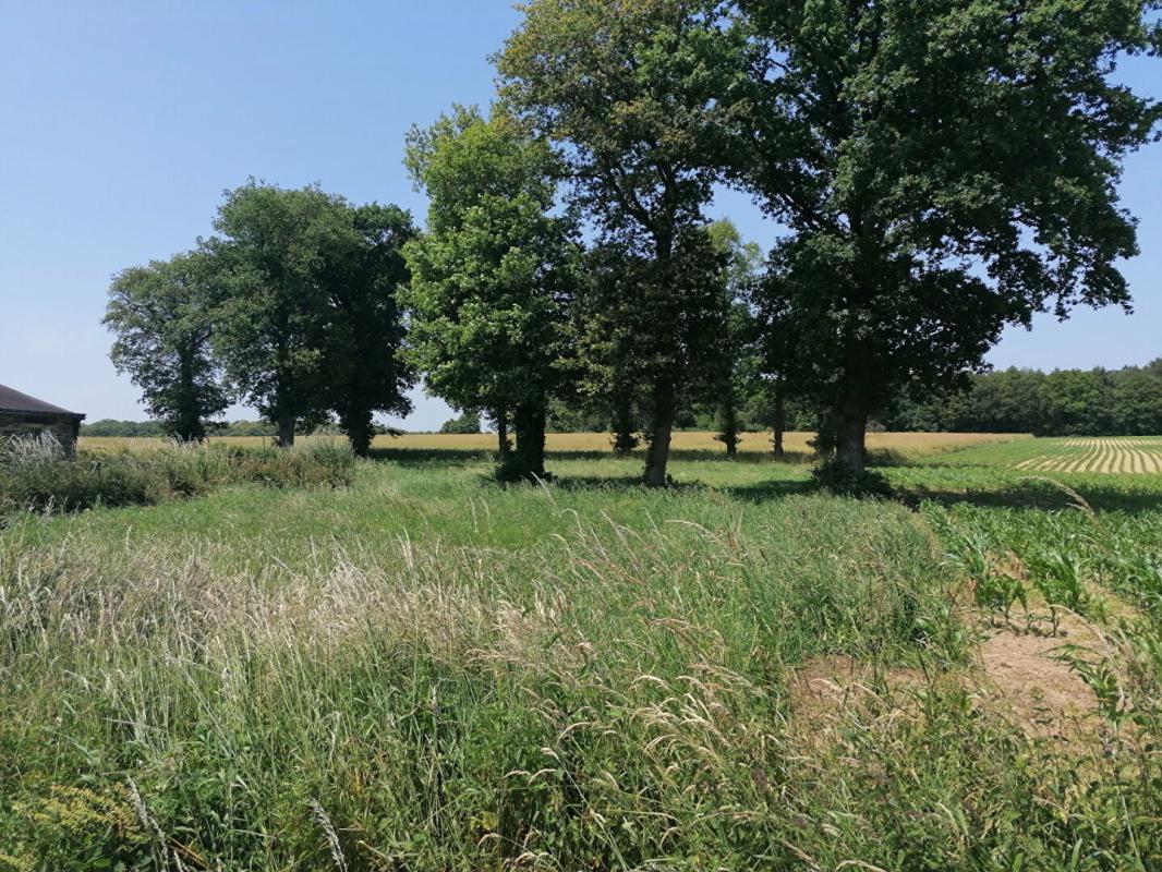 LOYAT Terrain Loyat 2000 m2 2