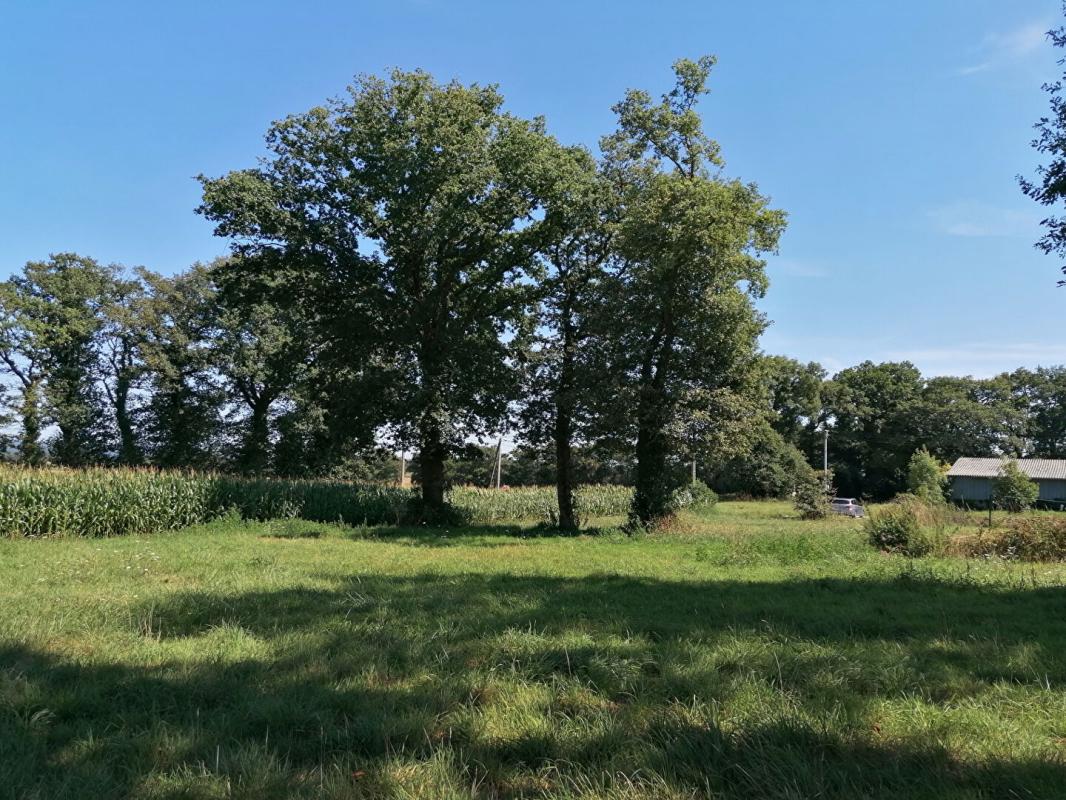 LOYAT Terrain Loyat 2000 m2 3