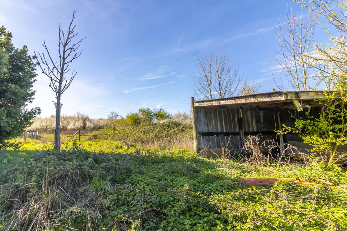 GENOUILLY Maison Genouilly 6 pièce(s) 104 m2 17