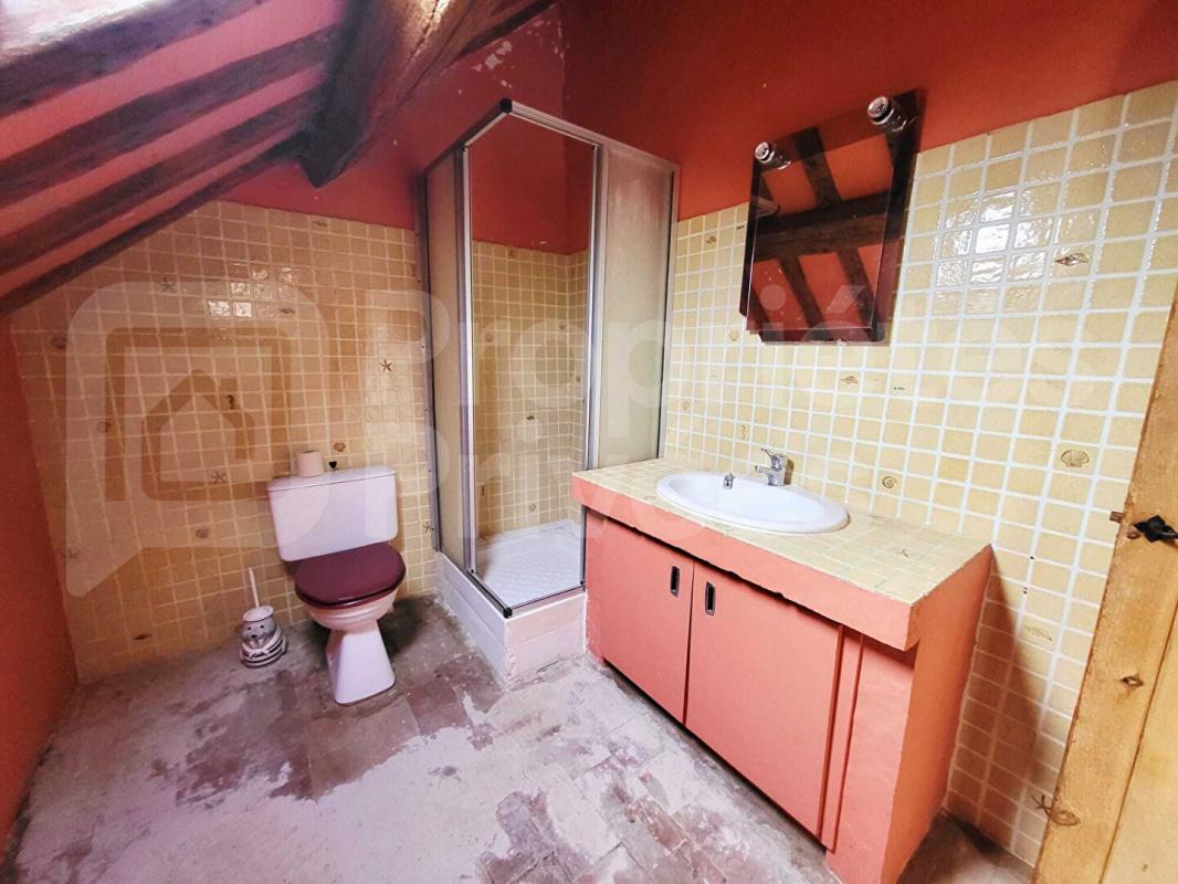 SERMAISES Maison de caractère en Pierre, 5 pièces, dépendances et jardin 14