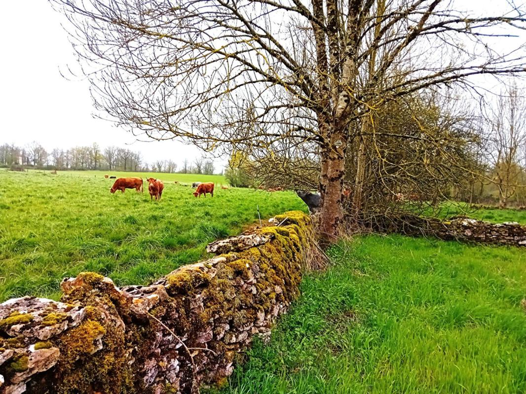 BEAUREGARD Fermette 2 pièce(s) 57 m2 17