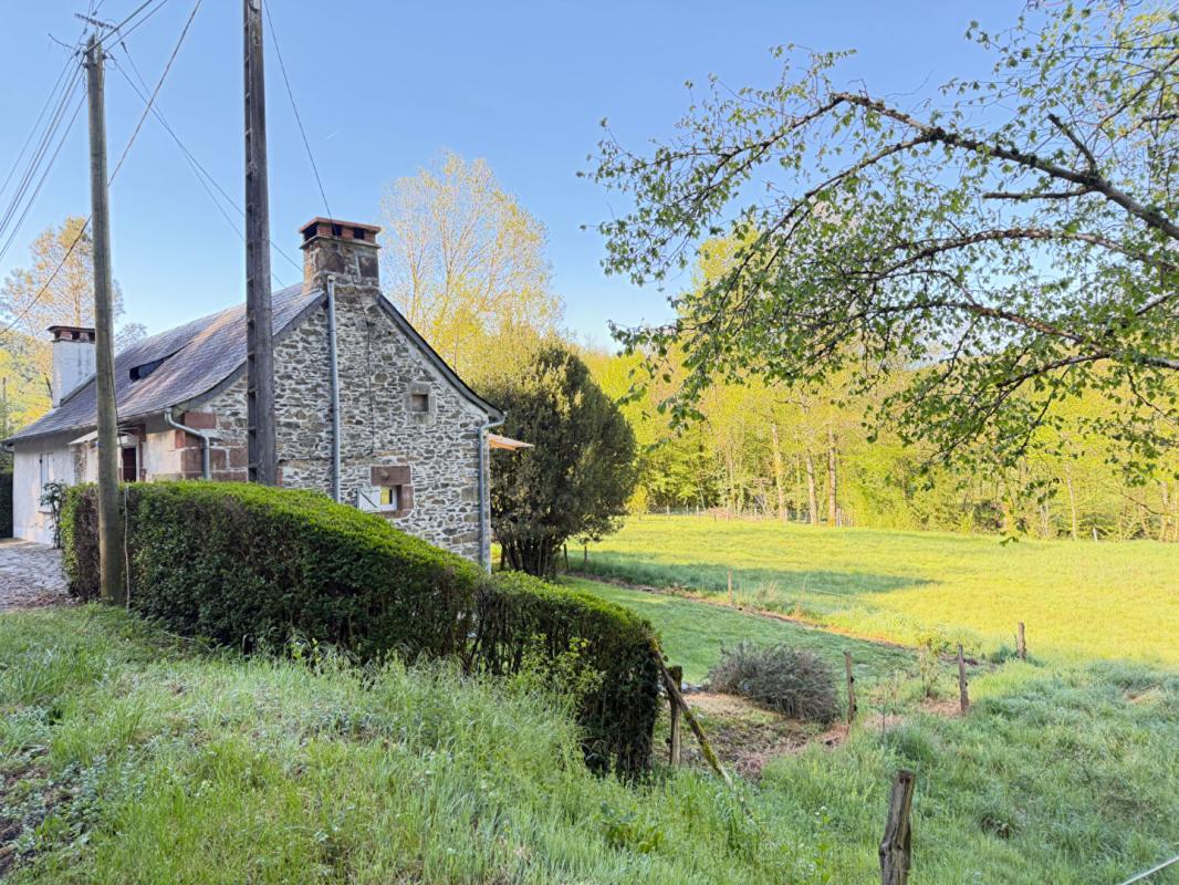 ALBIGNAC maison en campagne proche Brive-La-Gaillarde 6
