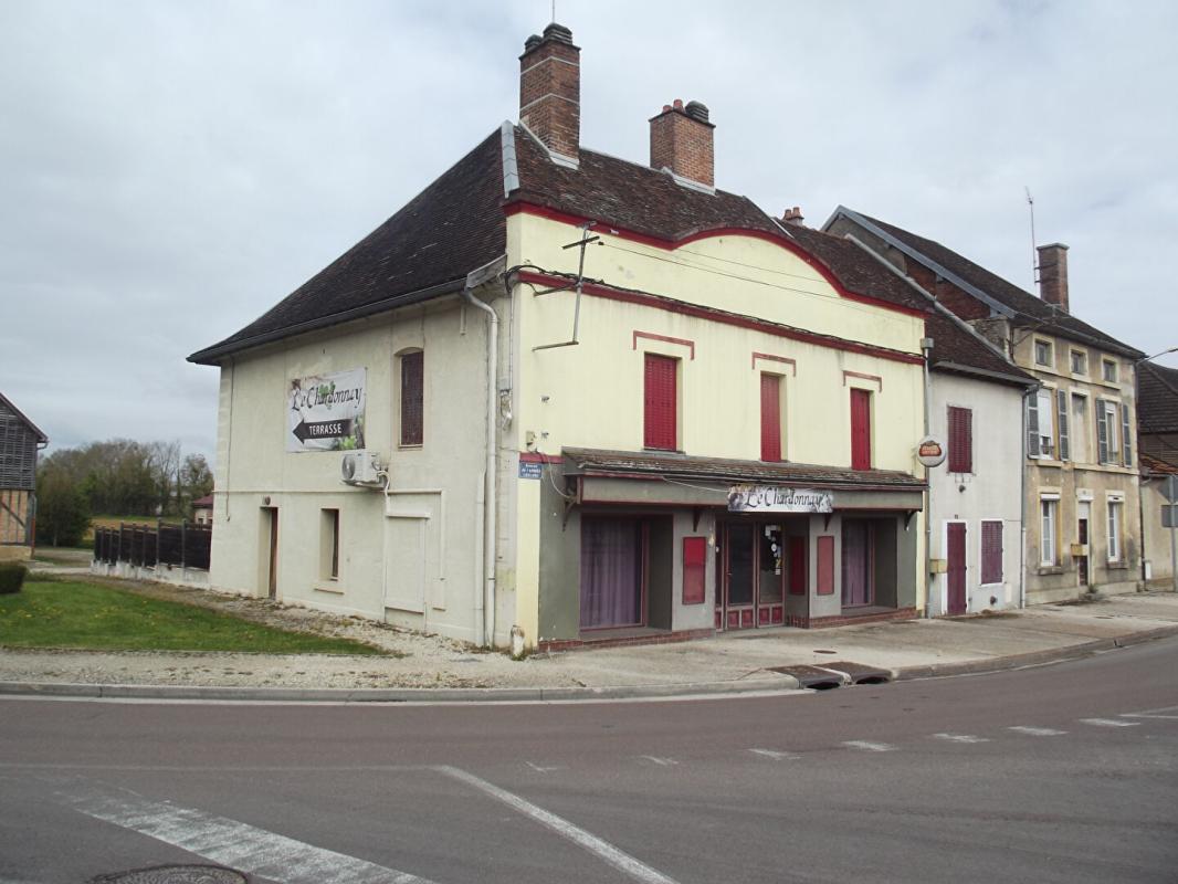 VENDEUVRE-SUR-BARSE Grande maison de plain pied 1