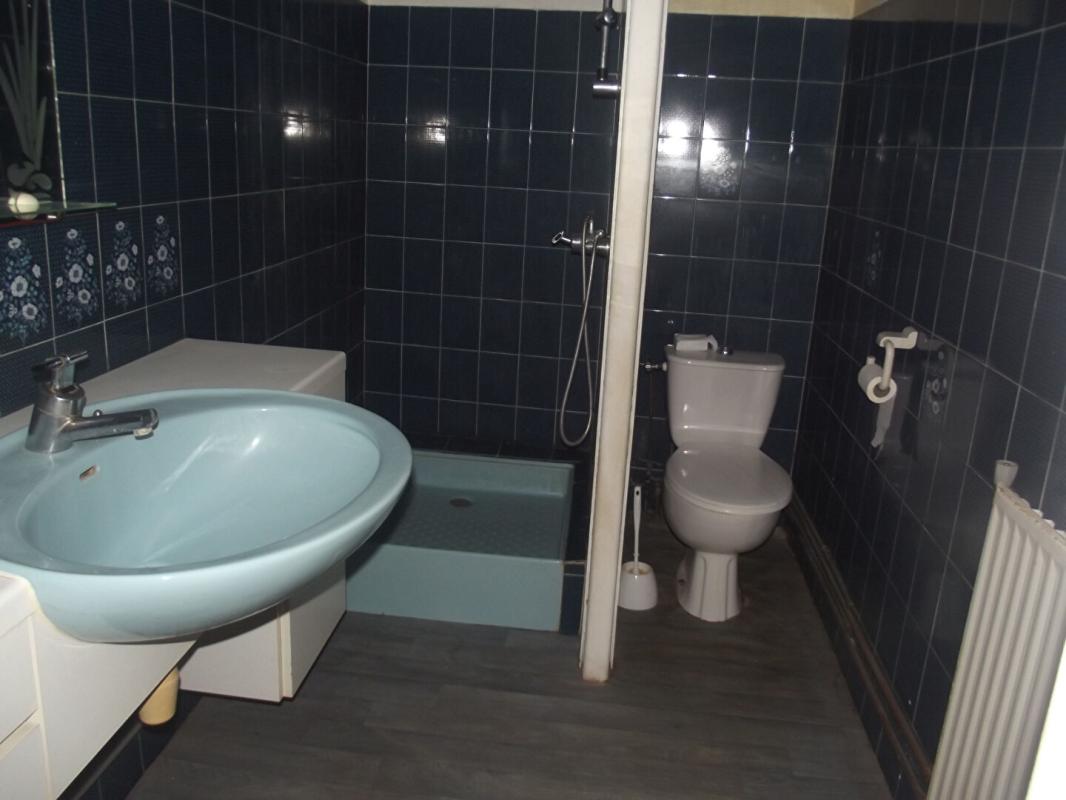 VENDEUVRE-SUR-BARSE Grande maison de plain pied 11