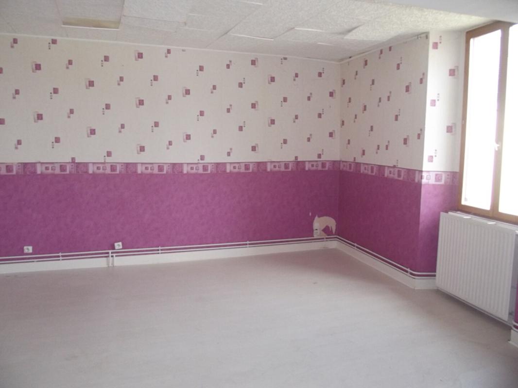 VENDEUVRE-SUR-BARSE Grande maison de plain pied 6