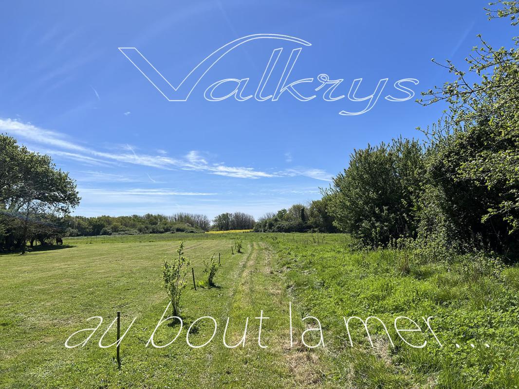 MOELAN-SUR-MER Ensemble immobilier longères à rénover - Brigneau 29350 2